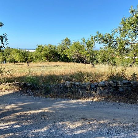 Casa Querida Villa Tavira Eksteriør bilde